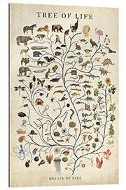 Gallery print Tree of Life - Studio W