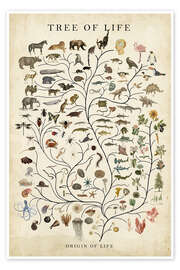 Poster Tree of Life - Studio W