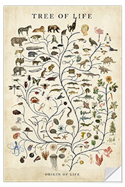 Wall sticker Tree of Life - Studio W