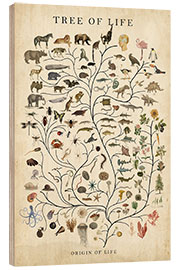 Wood print Tree of Life - Studio W