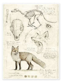 Wall art print Fox - Mike Koubou