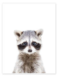 Wall art print Baby Raccoon - Sisi And Seb