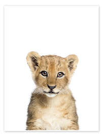 Wall art print Baby Lion - Sisi And Seb