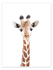 Wall art print Baby Giraffe - Sisi And Seb