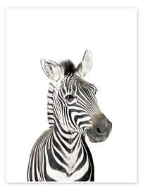 Wall art print Baby Zebra - Sisi And Seb