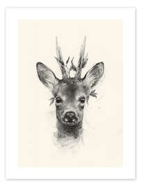 Wall art print Young roebuck - Richard Stark