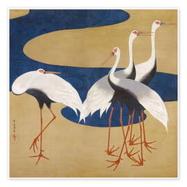 Wall art print Cranes - Suzuki Kiitsu