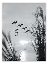 Wall art print Wild geese in formation