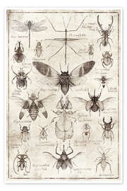 Wall art print Insects II - Mike Koubou