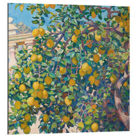 Aluminium print Lemon Trees in La Mortola, 1921 - Theo van Rysselberghe