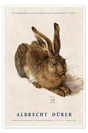 Wall art print Art is Embedded in Nature - Albrecht Dürer
