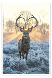 Wall art print Deer with Heart Antlers - Max Ellis