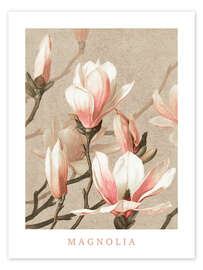 Wall art print Magnolia - Vintage Educational Collection