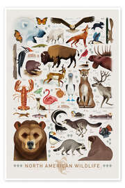 Wall art print North American Wildlife - Dieter Braun