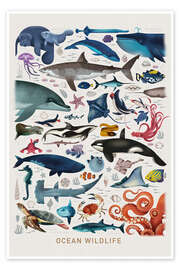 Poster Ocean Wildlife - Dieter Braun