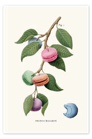 Wall art print Macaron Plant - Jonas Loose