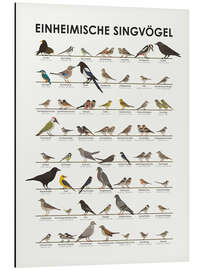 Aluminium print Native songbirds (German) - Iris Luckhaus