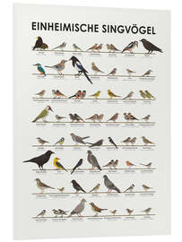 Foam board print Native songbirds (German) - Iris Luckhaus