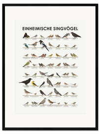 Framed art print Native songbirds (German) - Iris Luckhaus