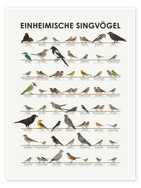 Poster Native songbirds (German) - Iris Luckhaus