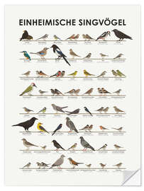 Wall sticker Native songbirds (German) - Iris Luckhaus