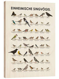 Wood print Native songbirds (German) - Iris Luckhaus