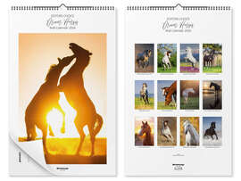 Wall calendar Horse calendar - Dream Horses 2026