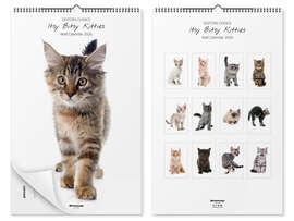Wall calendar Cats calendar - Itsy Bitsy Kitties 2026
