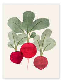 Wall art print Organic Veg I - Victoria Barnes