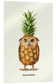Acrylic print Pineappowl - Jonas Loose