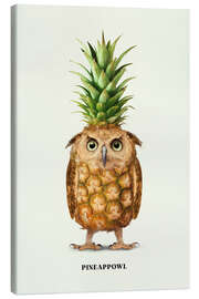 Canvas print Pineappowl - Jonas Loose