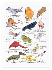 Wall art print The Coloured Birds Compilation - Edward Lear