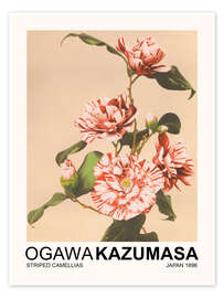 Wall art print Striped Camellias - Ogawa Kazumasa