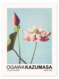 Wall art print Lotus Flowers - Ogawa Kazumasa