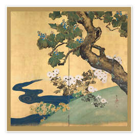 Poster Paulownias and Chrysanthemums - Sakai Hōitsu