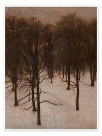 Poster Søndermarken Park in Winter