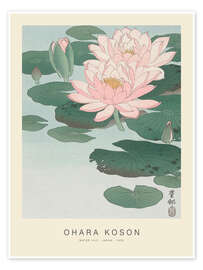 Wall art print Water Lily, 1926 - Ohara Koson