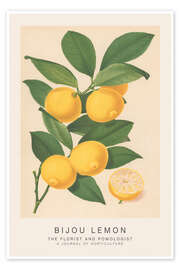 Wall art print The Florist and Pomologist - Bijou Lemon - Walter Hood Fitch