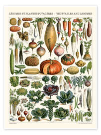 Poster Vegetables and Legumes - Adolphe Millot