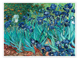 Wall art print Irises, 1889 - Vincent van Gogh