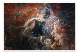 Wall art print Tarantula Nebula, James Webb Telescope, 2022 - NASA