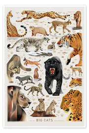 Wall art print Big Cats I - Dieter Braun