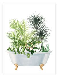 Wall art print Plant Bath II - Grace Popp