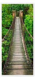 Door poster Wooden bridge through the jungle