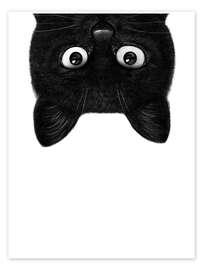 Wall art print Black Cat III - Valeriya Korenkova