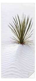 Door sticker Yucca on a Sand Dune - Don Grall