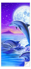 Door sticker Dolphins at midnight - Robin Koni