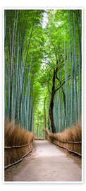 Door poster Bamboo Forest in Kyoto Sagano Arashiyama, Japan - Jan Christopher Becke