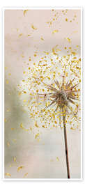 Door poster Dandelion - Andrea Haase Foto