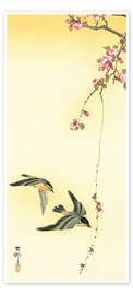 Door poster Starlings and Cherry Tree - Ohara Koson